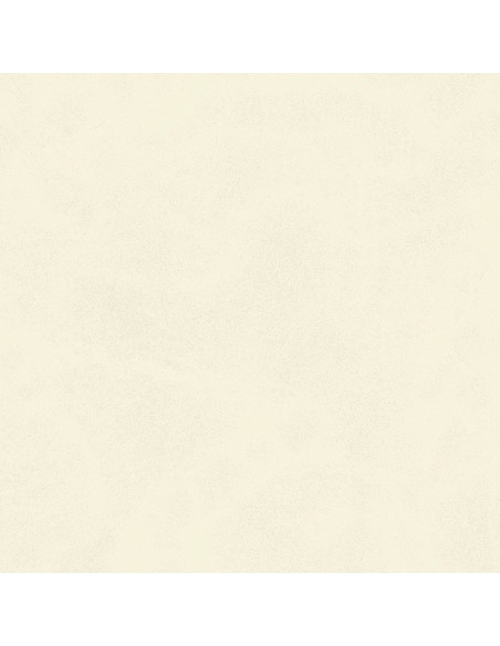 Century Calcio 60 X 60 R